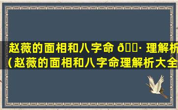 赵薇的面相和八字命 🌷 理解析（赵薇的面相和八字命理解析大全）